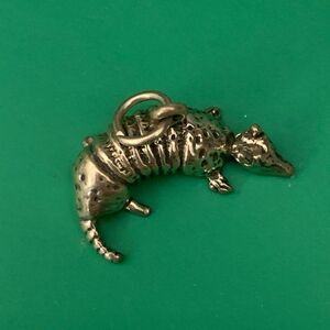 Armadillo Sterling Silver Jewelry Charm #wildlife #armadillo #Texas